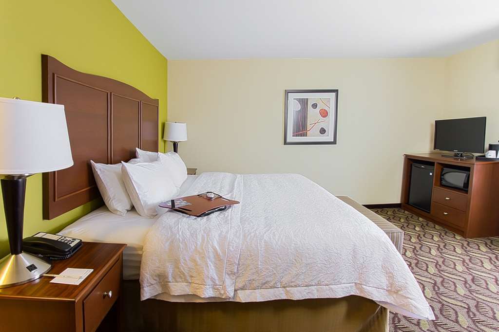Hampton Inn Dekalb - Near The University Habitación foto